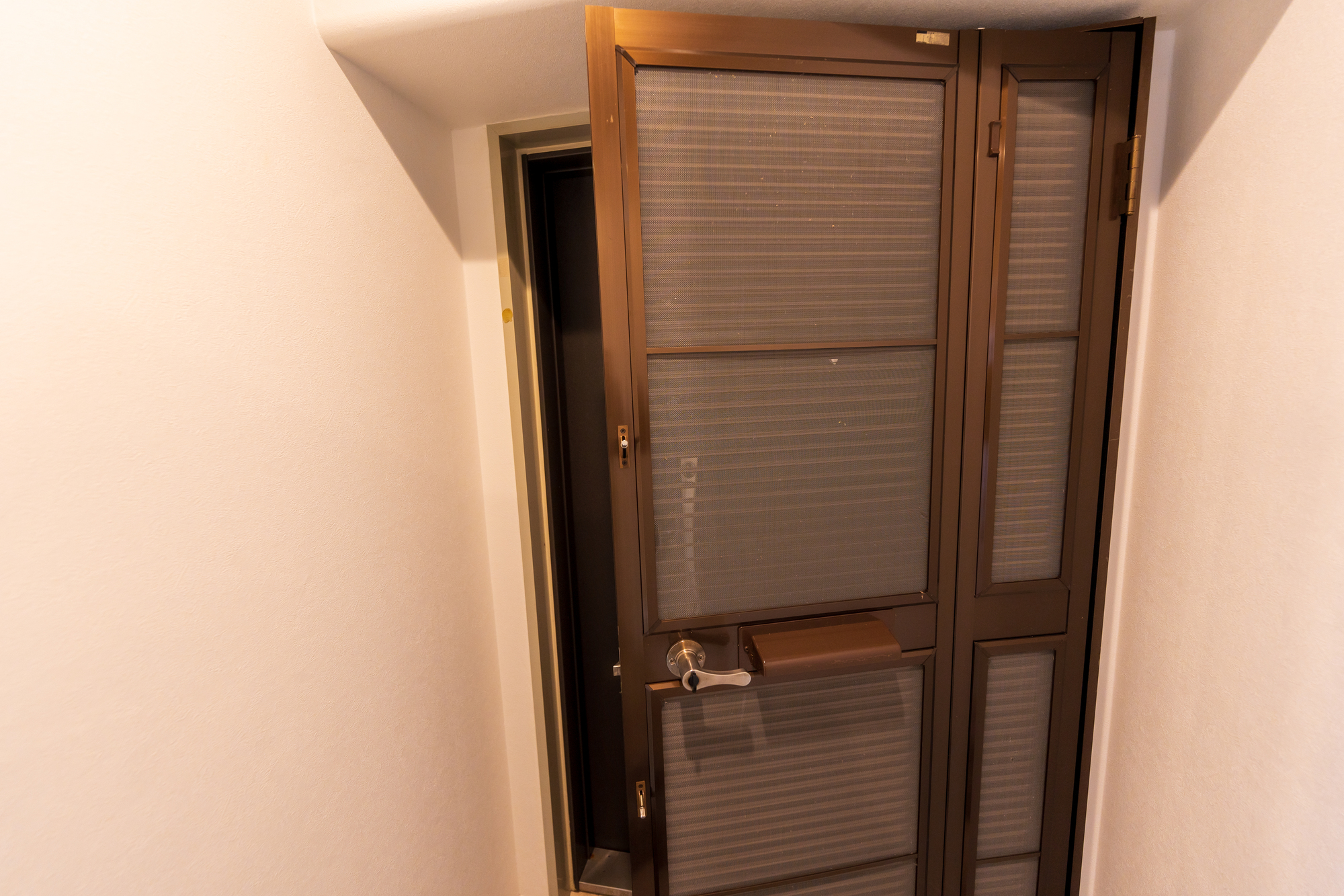 網戸付き玄関ドアとは｜リフォーム前に知っておきたい種類と特徴を徹底解説